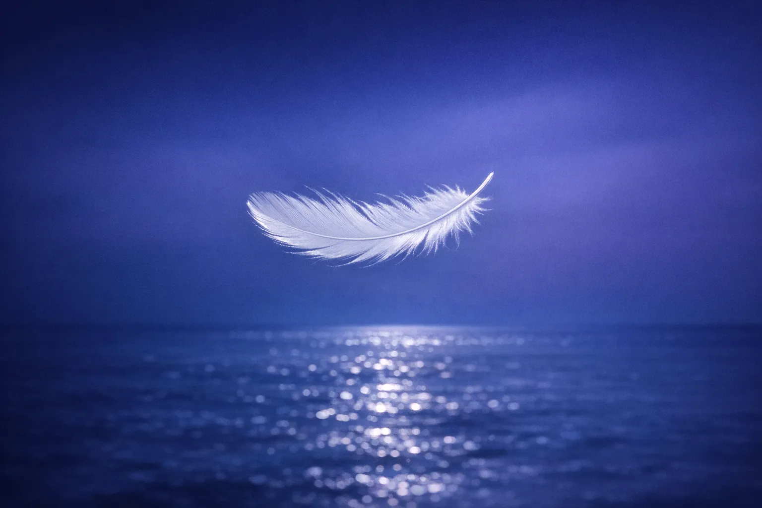 Finding Feathers, Finding Answers