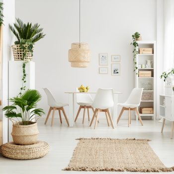 plantas para apartamentos