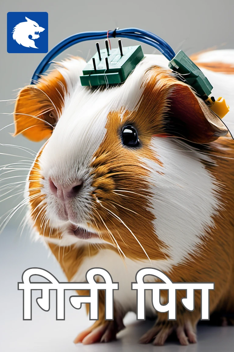 गिनी पिग 