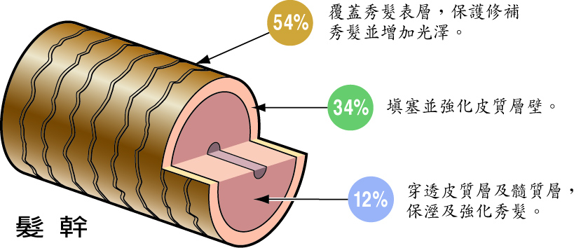 NEXXUS橘樹保濕洗髮精