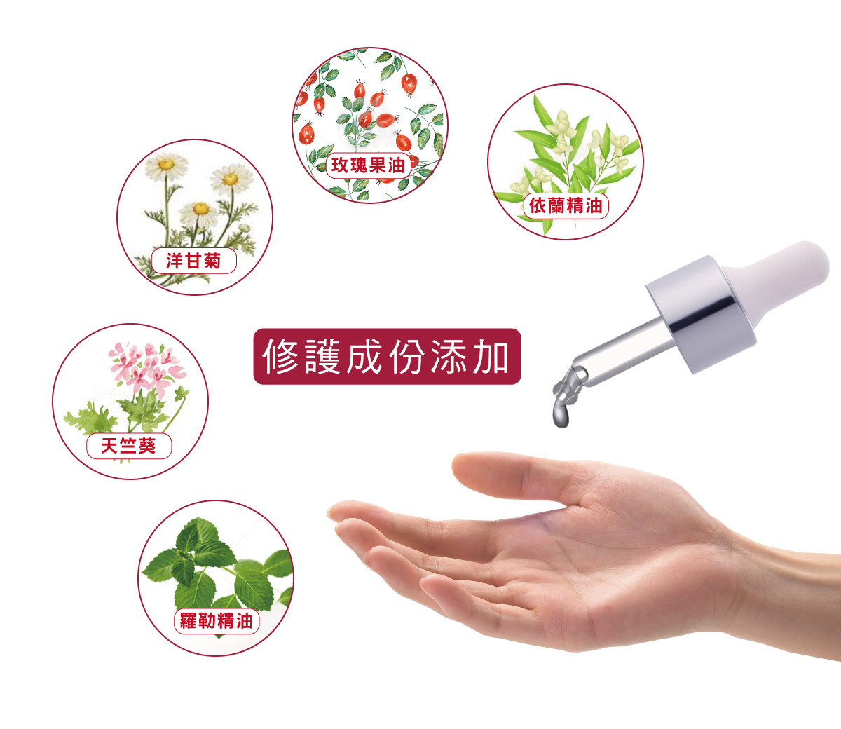 MYMASY, 全效植感修護油, 美容油推薦, 油類保養, MYMASY哪裡買, 修護油, 修護保養, 油類保養推薦, 髮油推薦, 試用, 體驗