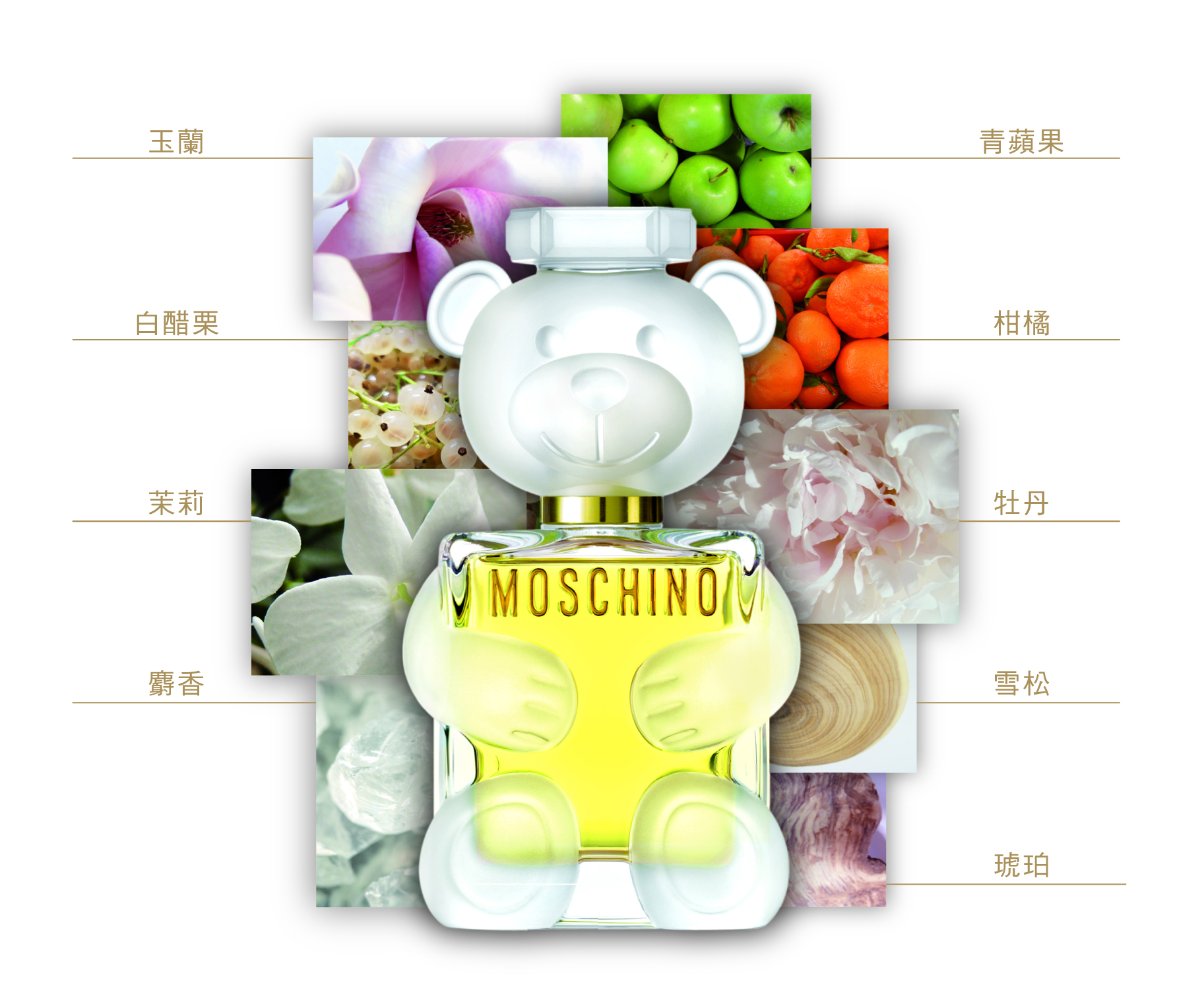 MOSCHINO, MOSCHINO莫斯奇諾, 莫斯奇諾, 熊芯未泯2女性淡香精, 熊芯未泯女性淡香精, 女性香水, 淡香精推薦, 香水推薦, MOSCHINO莫斯奇諾熊芯未泯系列, MOSCHINO莫斯奇諾門市, MOSCHINO莫斯奇諾櫃點, MOSCHINO莫斯奇諾網購, MOSCHINO莫斯奇諾哪裡買, MOSCHINO莫斯奇諾台灣, MOSCHINO莫斯奇諾試用, 試用, 體驗