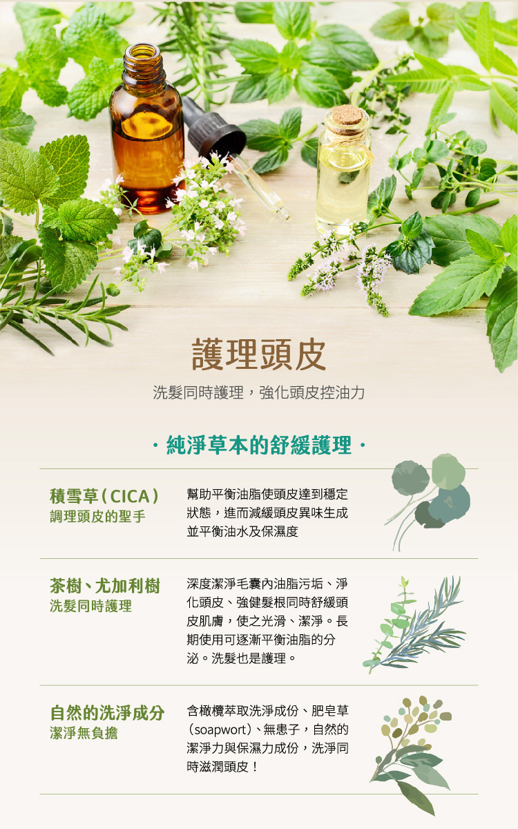 Elastine伊絲婷, Elastine, 伊絲婷推薦, Elastine推薦, 香水洗髮精, 島嶼花園奢華香水洗髮精，淨化控油款, 控油洗髮精推薦,Elastine評價, Elastine門市, Elastine櫃點, Elastine網購, Elastine哪裡買, Elastine台灣, Elastine試用, 試用, 體驗