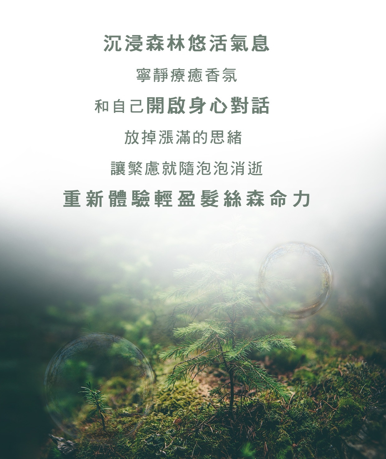 艾沛詩, 典雅抒心洗沐組, 森活紓壓洗沐組, 清新舒活洗沐組, 洗沐組推薦, 洗髮，沐浴, 精油洗沐, 精油, 艾沛詩推薦, 艾沛詩評價, 艾沛詩網購, 艾沛詩哪裡買, 艾沛詩試用, 艾沛詩好用嗎, 試用, 體驗