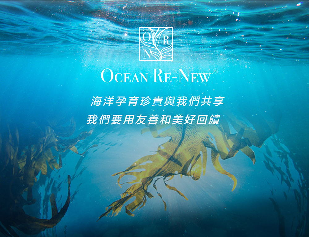 HiQ beauty Ocean Re-New, 海洋依珂, 友善海洋防曬乳, 防曬乳, 海洋依珂評價 , 海洋依珂網購, 海洋依珂哪裡買, 海洋依珂推薦, 海洋依珂試用, 防曬乳試用, 海洋友善, 夏天, 2024防曬乳