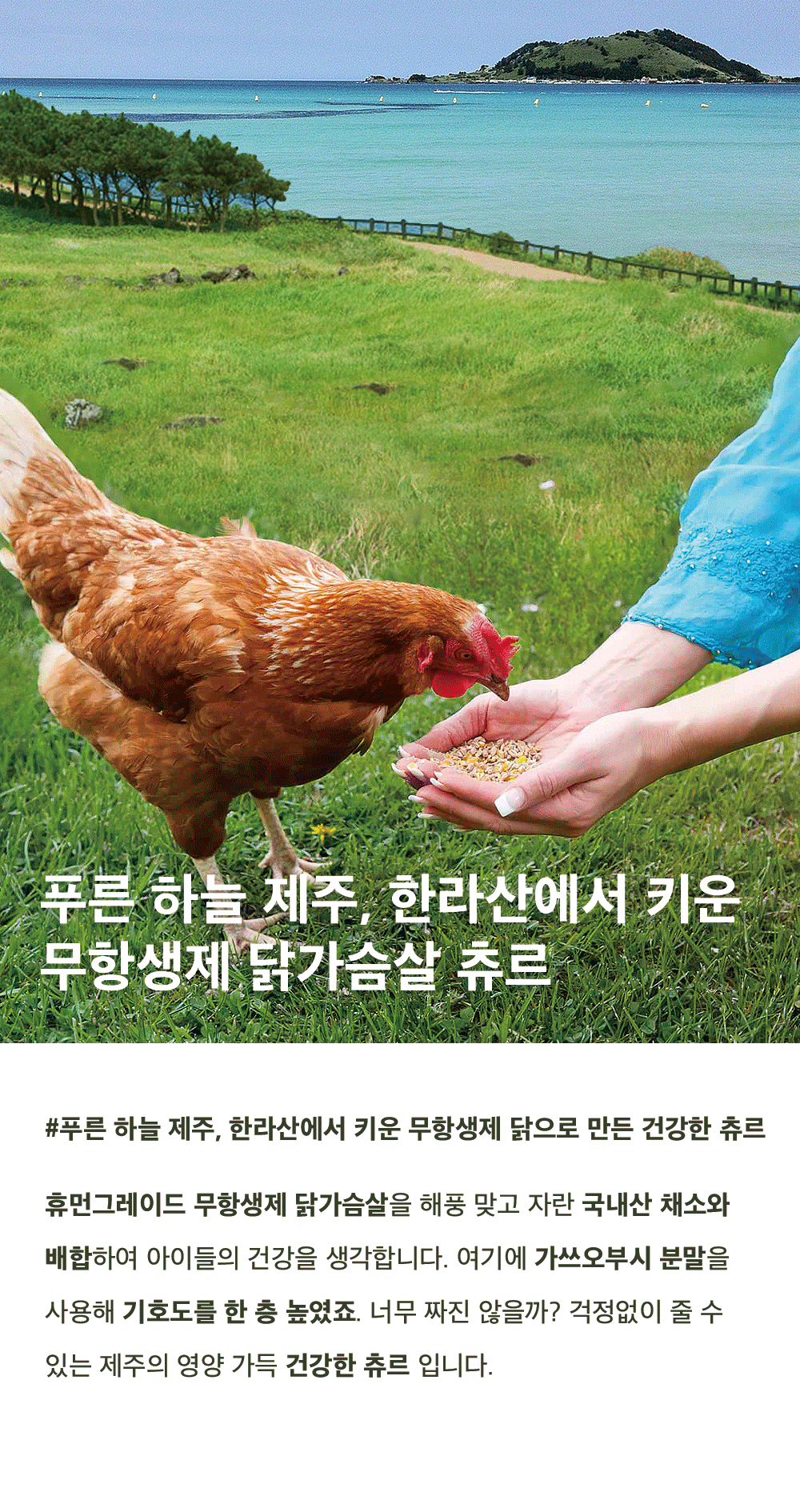 케어펫 상세페이지 브랜드 한줄 평