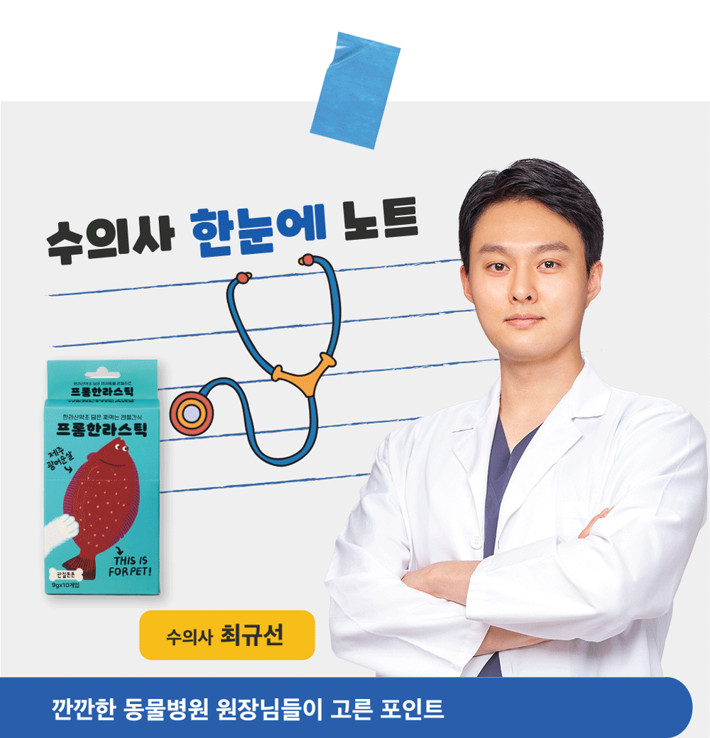 케어펫 상세페이지 수의사 노트 인트로