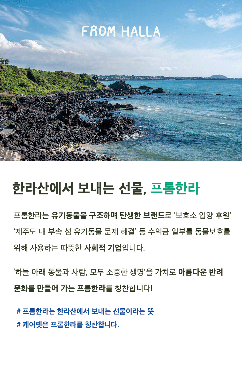 상품 설명