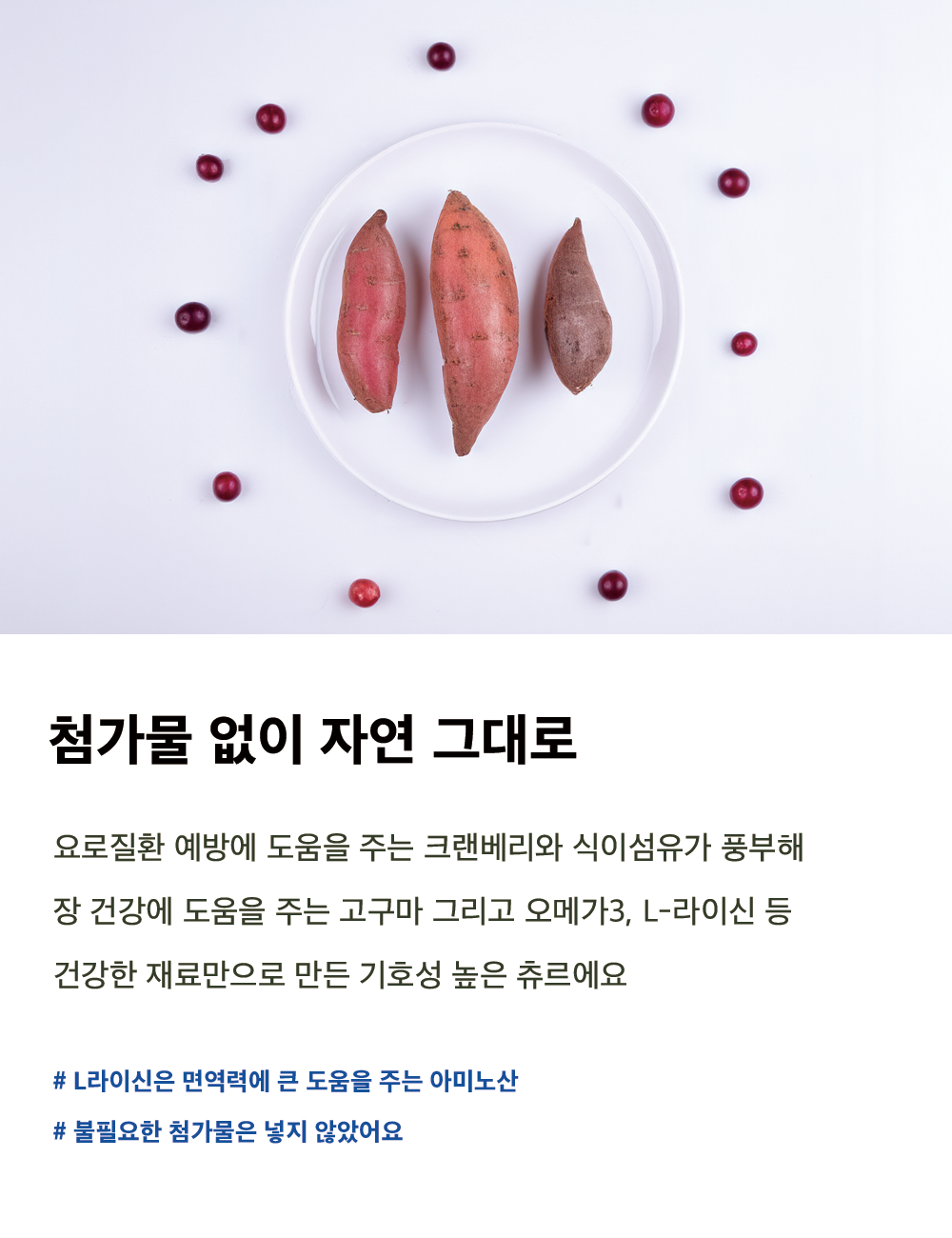 상품 설명