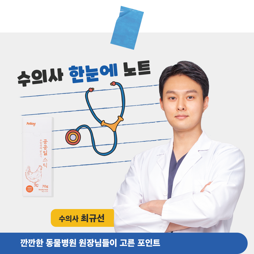 케어펫 상세페이지 수의사 노트 인트로