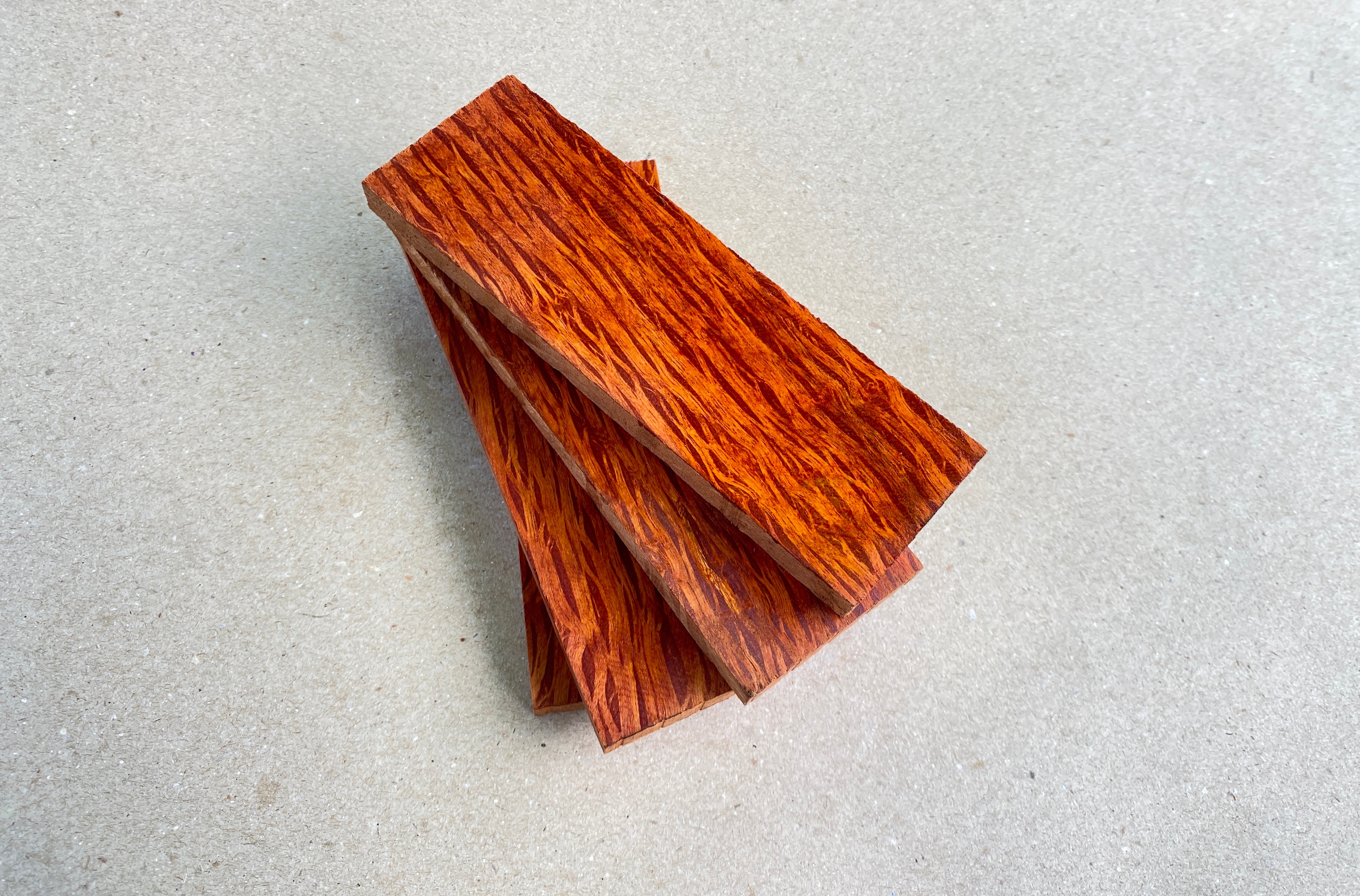 Lace Sheoak / Steineiche