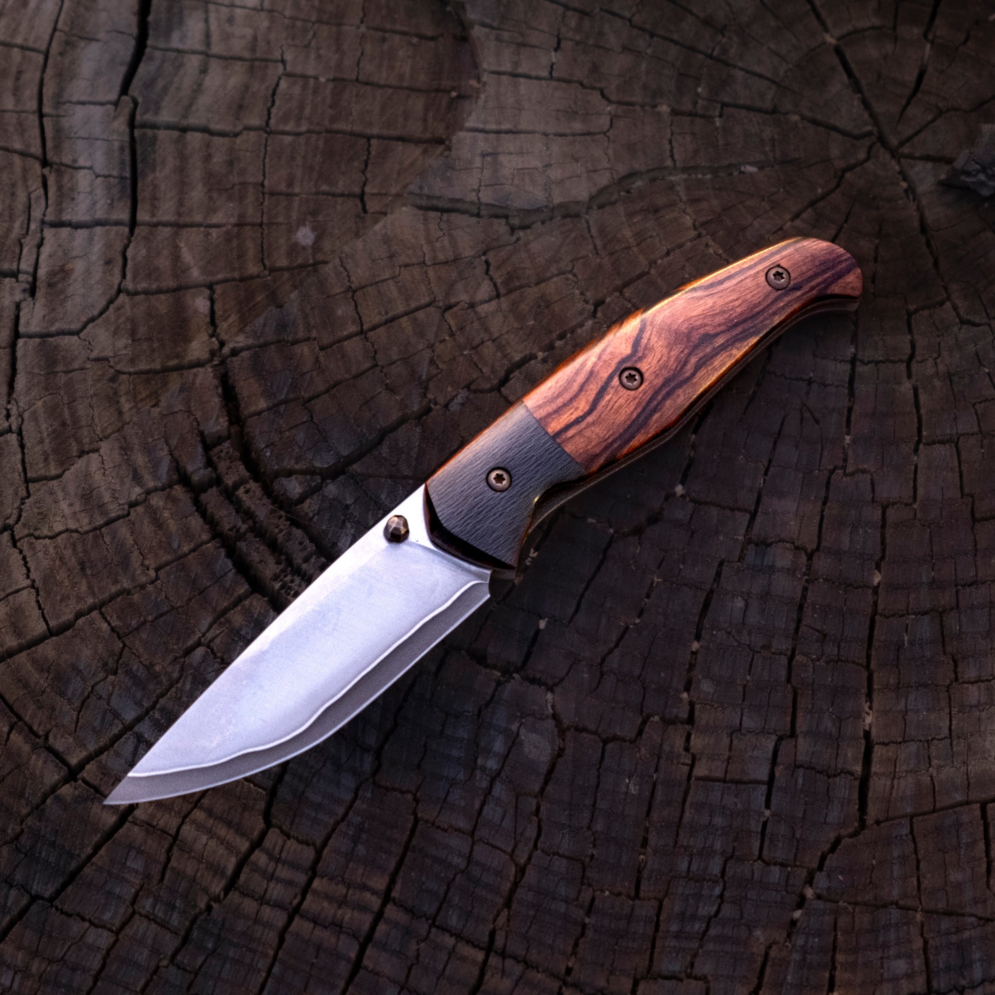 Klappmesser - Linerlock - Rex121 - Wüsteneisenholz - Carbon