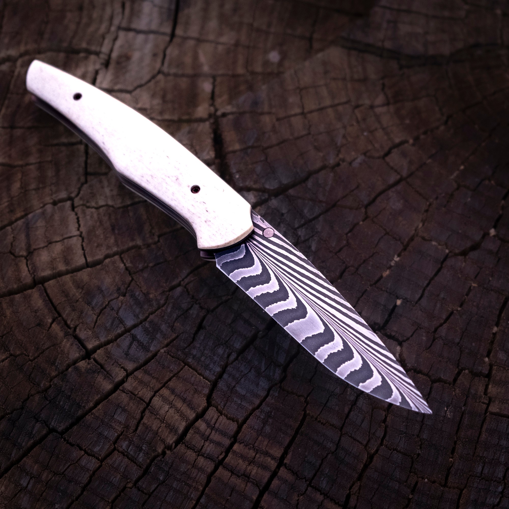 Klappmesser - Linerlock - Federdamast - Kamelknochen