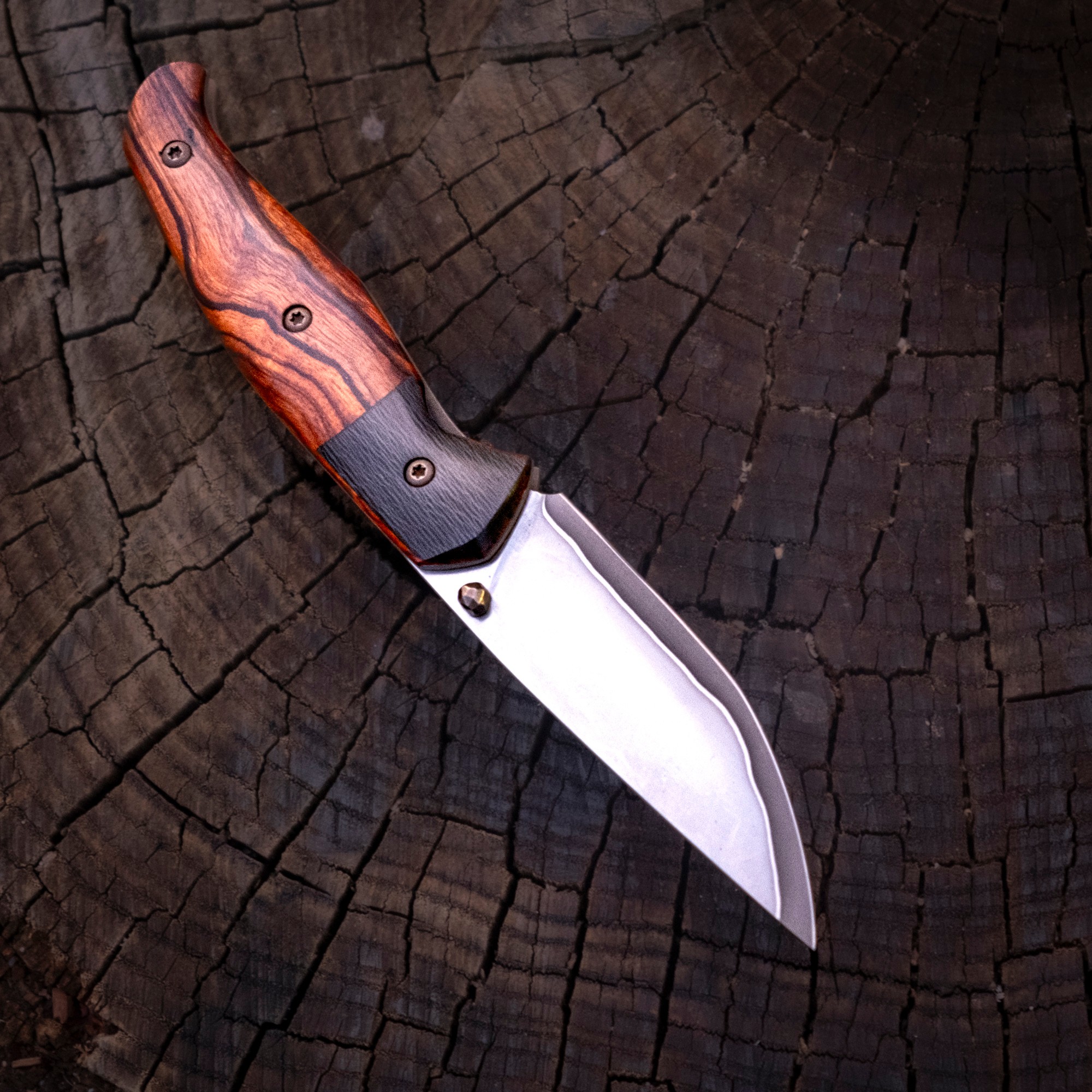 Klappmesser - Linerlock - Rex121 - Wüsteneisenholz - Carbon