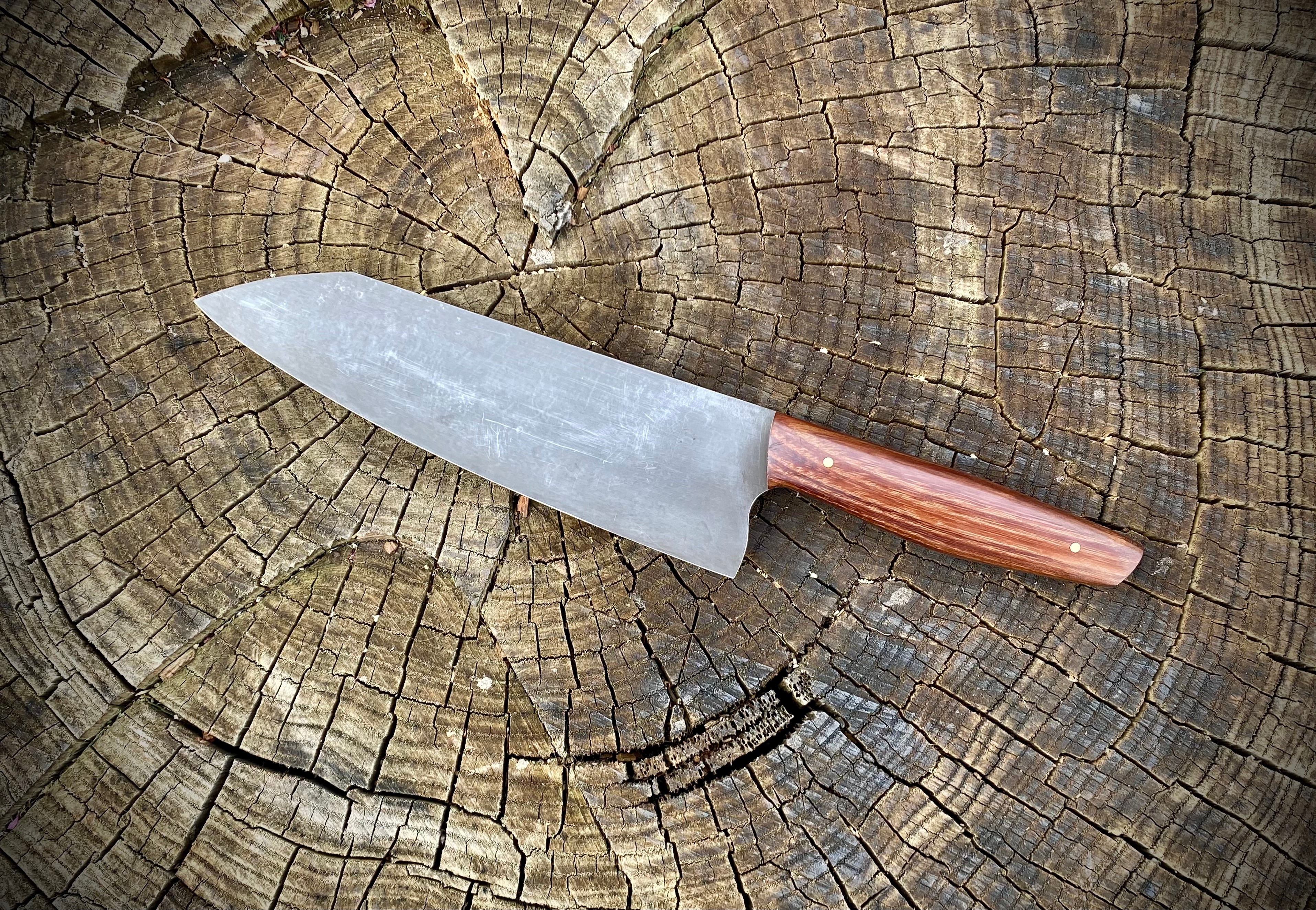 Kochmesser Gyuto - 56x200 mm - Kohlenstoffstahl - Robinie