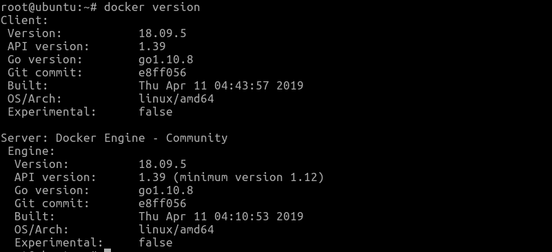 check the docker version with the docker version command