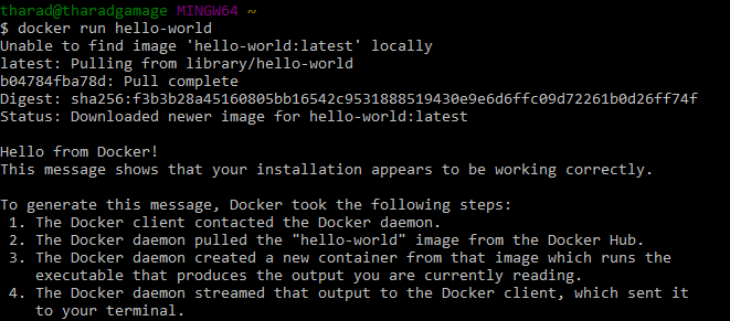 Windows Docker Container hello-world