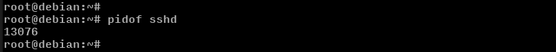 find pid of process linux pidof command