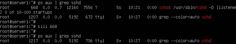 Kill command - Send a signal to a process