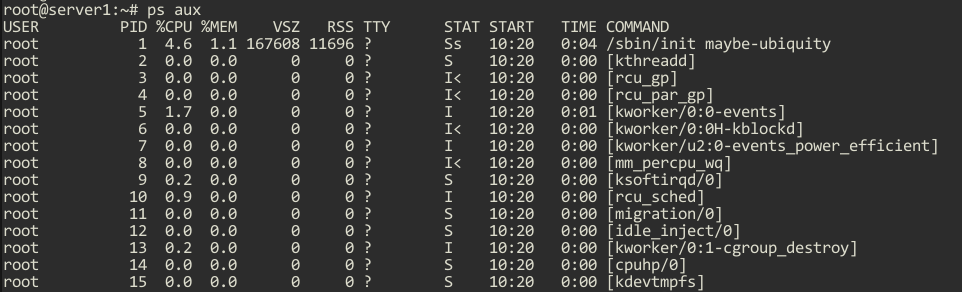 Two Commands to Kill Processes in Linux Operating System