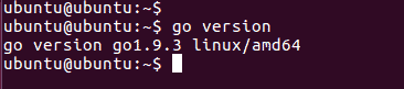 go version on ubuntu