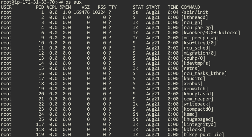 Ubuntu ps aux command