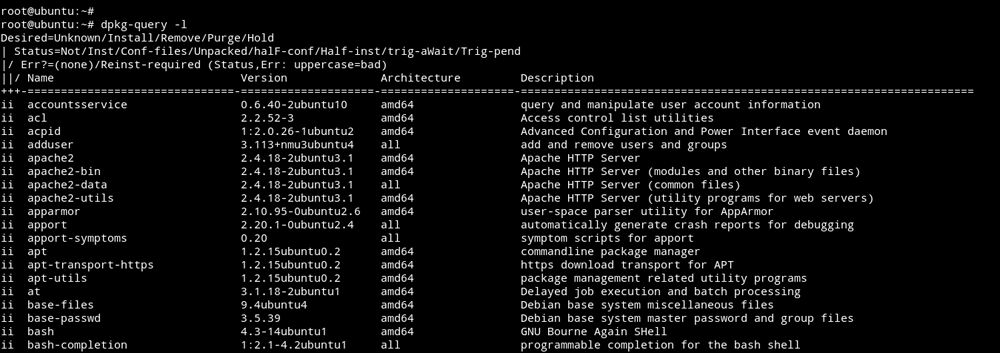 apt list installed packages