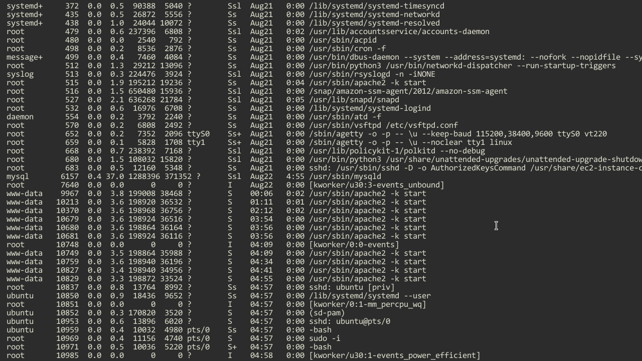 mobaxterm-list-running-processes