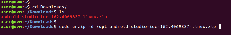 Unzip zip file to the /opt directory.