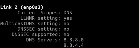 Viewing a server's current DNS assignment