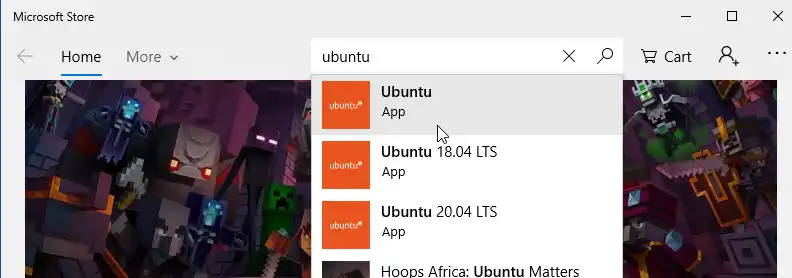 Install Ubuntu Operating System