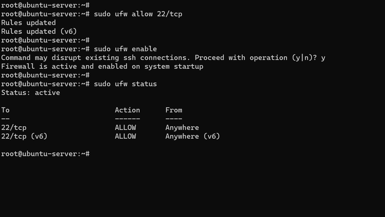 Enable UFW Firewall