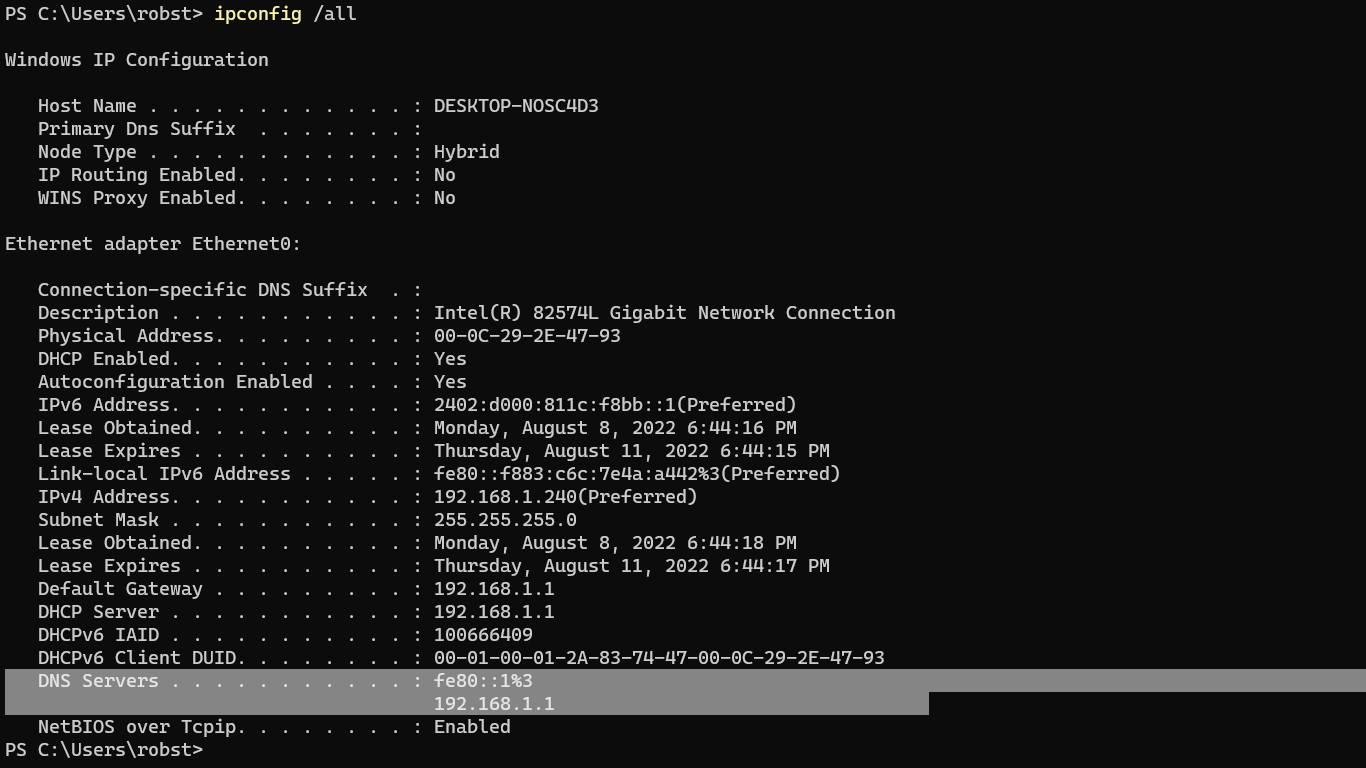 windows check dns server