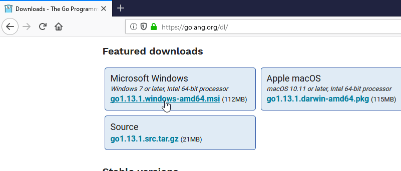 Download Golang 64bit for Windows 10