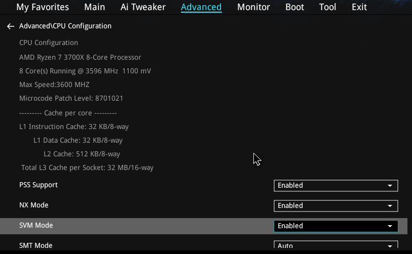 Enable Virtualization on an AMD Processor