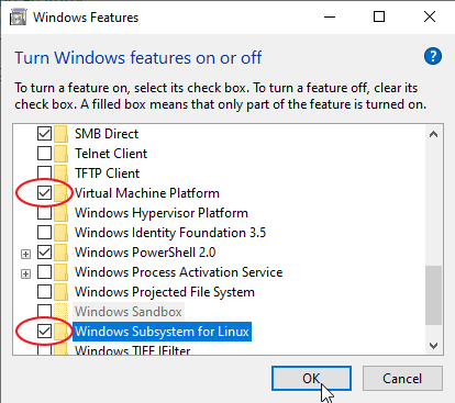 How to Enable WSL 2 on Windows 10  Windows Subsystem for Linux 2