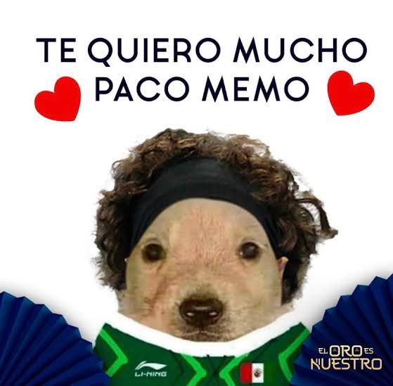 Simplesmente Ochoa: veja os memes de México x Polônia, Copa do Mundo