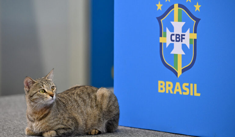 Buscan demandar a Brasil por maltrato al gato de la conferencia. FOTO: AFP