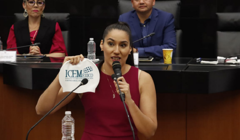 Liliana Ibáñez recibió un reconocimiento en el Senado / Foto: Romina Solis