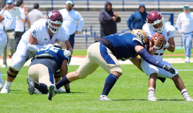 La Onefa aseguró que los estatutos legales no permiten dicho vinculo / Foto: Oswaldo Figueroa