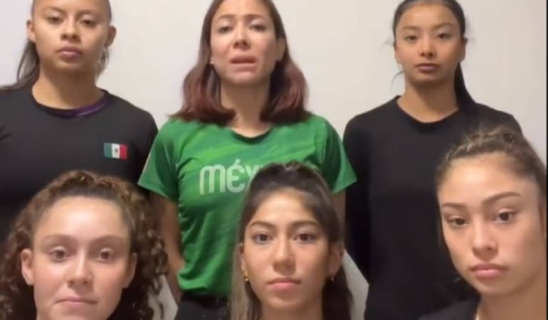Se espera que el gobierno mexicano intervenga para rescatarlas / Captura: Instagram