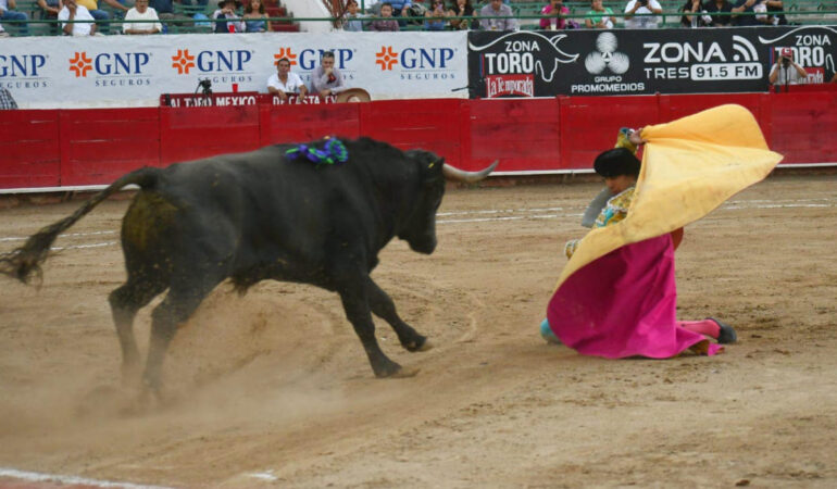 Fiesta brava queda prohibida en Guadalajara provisionalmente. FOTO: Plaza de Toros Nuevo Progreso