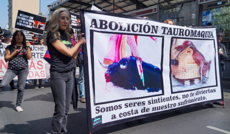 Buscan prohibir definitivamente las corridas en la Ciudad de México. FOTO: Sarahí Melecio | ESTO