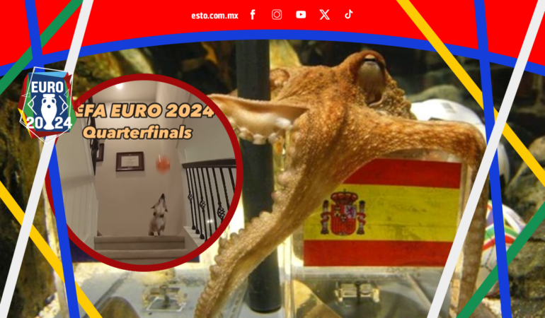 Steph Furry predice los resultados de la Eurocopa 2024 / Foto: Especial
