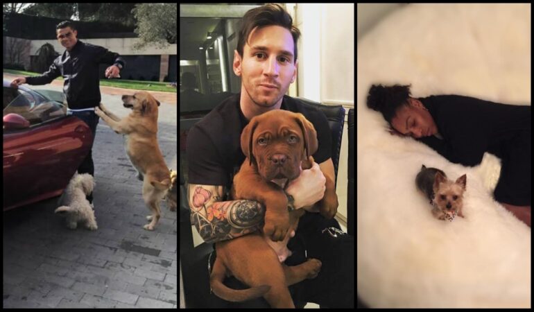 El 21 de julio el mundo celebra el Día Internacional del Perro