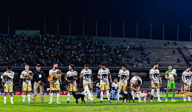 Pablo Bennevendo es el capitan de Pumas en el partido ante Querétaro foto_ Luis Garduño