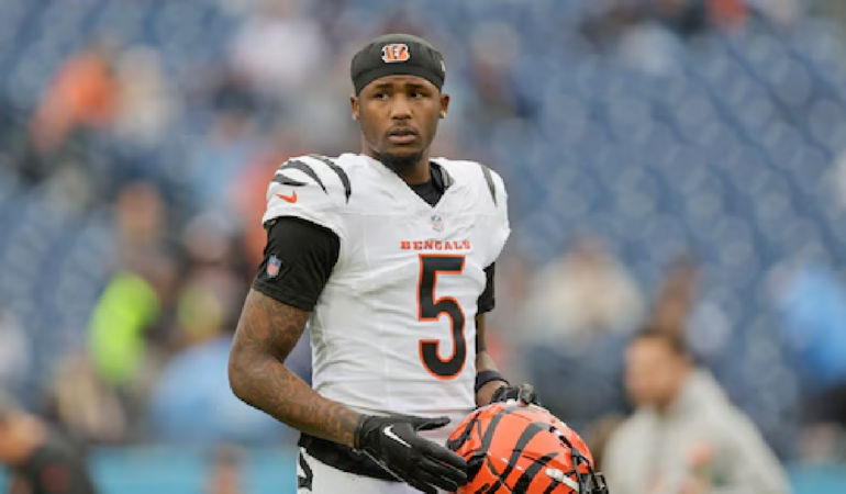 Tee Higgins está bien afianzado con Bengals