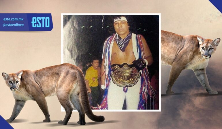 Jerry Estrada era conocido como el Puma y un día entró a una lucha con un felino de verdad / Arte: Abril Hernández