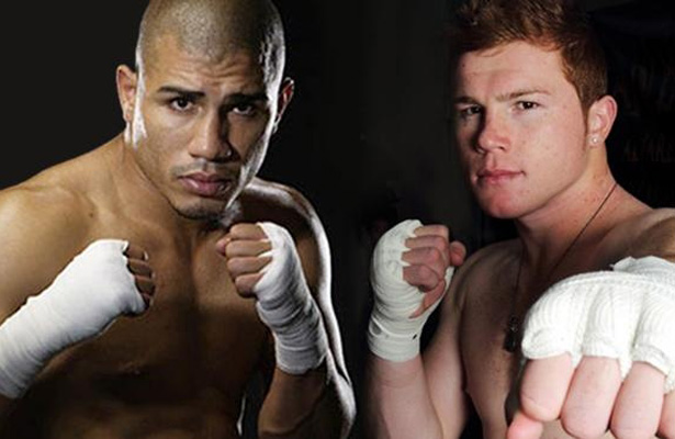 nota-box-cotto-canelo