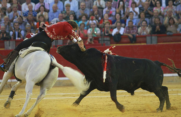 Pablo Hermoso de Mendoza, multado e inhabilitado por 